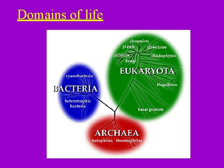 Domains of life 