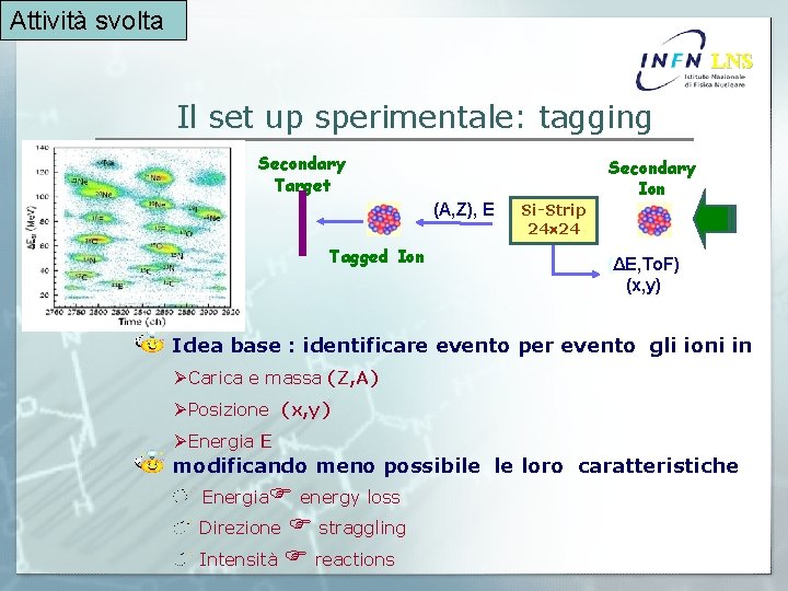 Attività svolta LNS Il set up sperimentale: tagging Secondary Target (A, Z), E Tagged