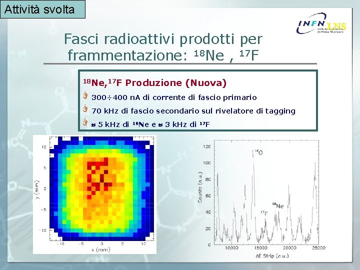 Attività svolta Fasci radioattivi prodotti per frammentazione: 18 Ne , 17 F 18 Ne,