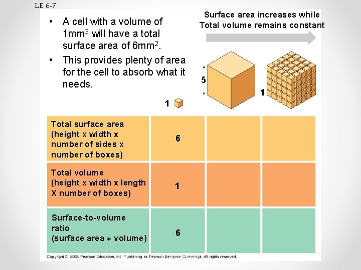 LE 6 -7 • A cell with a volume of 1 mm 3 will
