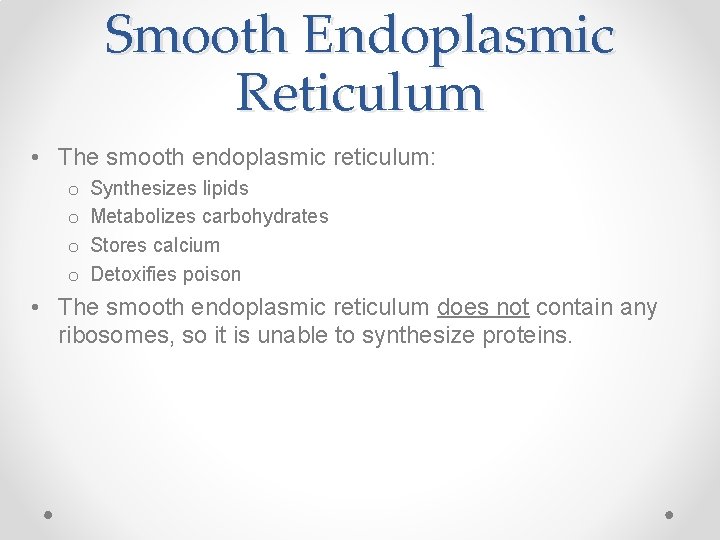 Smooth Endoplasmic Reticulum • The smooth endoplasmic reticulum: o o Synthesizes lipids Metabolizes carbohydrates