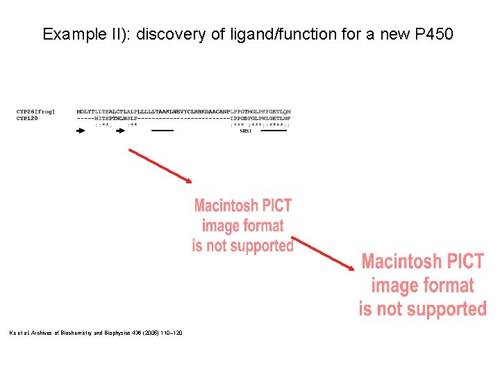 Example II): discovery of ligand/function for a new P 450 Ke et al, Archives