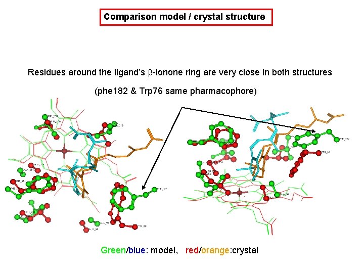 Comparison model / crystal structure Residues around the ligand’s b-ionone ring are very close