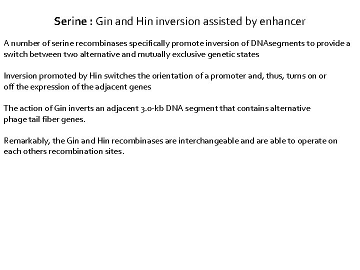 Serine : Gin and Hin inversion assisted by enhancer A number of serine recombinases