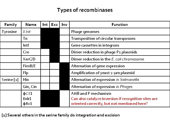 Types of recombinases Family Tyrosine Serine [1] Name Int Exc Inv Function λ Int
