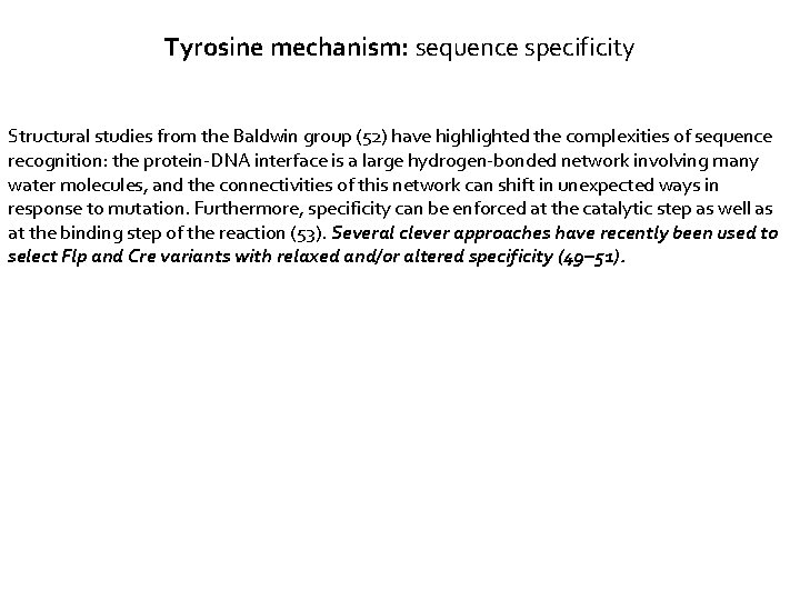 Tyrosine mechanism: sequence specificity Structural studies from the Baldwin group (52) have highlighted the