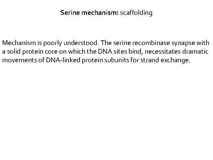 Serine mechanism: scaffolding Mechanism is poorly understood. The serine recombinase synapse with a solid