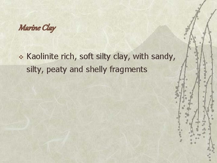 Marine Clay v Kaolinite rich, soft silty clay, with sandy, silty, peaty and shelly