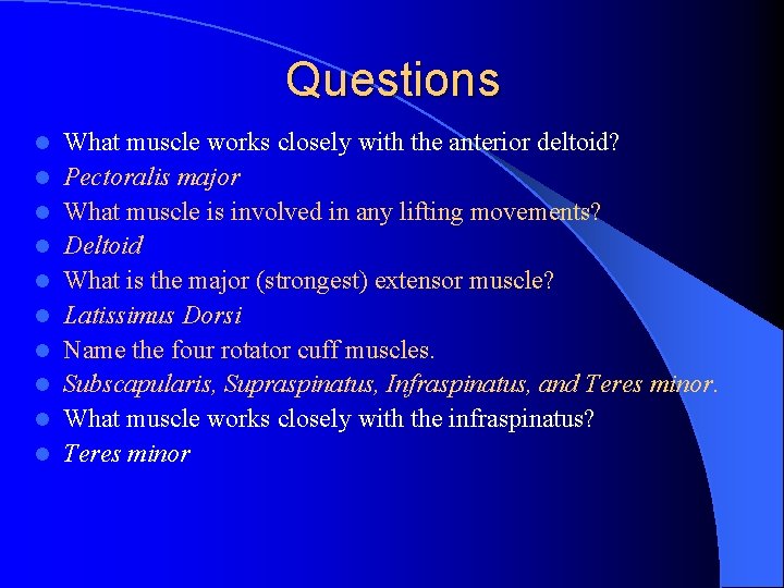 Questions l l l l l What muscle works closely with the anterior deltoid?