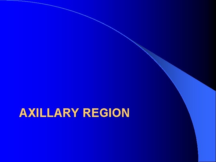 AXILLARY REGION 