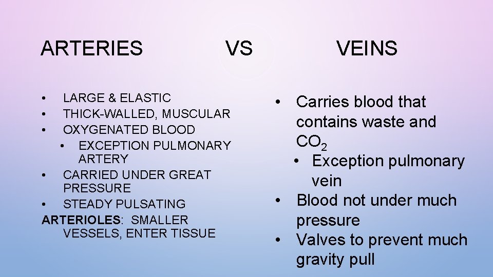 ARTERIES • • • VS LARGE & ELASTIC THICK-WALLED, MUSCULAR OXYGENATED BLOOD • EXCEPTION