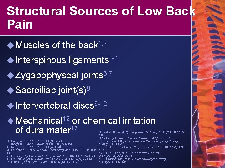 Structural Sources of Low Back Pain u Muscles of the back 1, 2 u