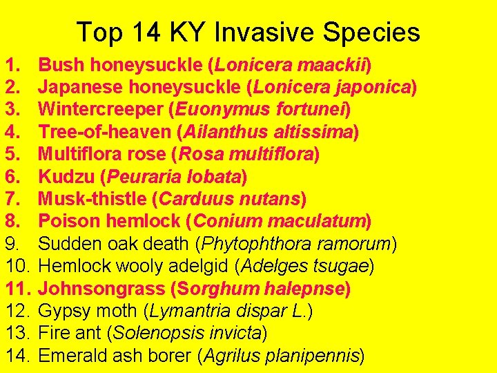 Top 14 KY Invasive Species 1. 2. 3. 4. 5. 6. 7. 8. 9.