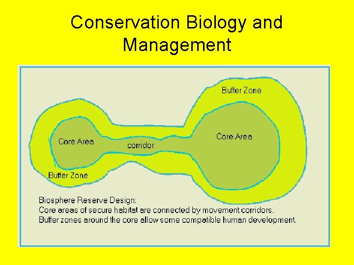 Conservation Biology and Management 