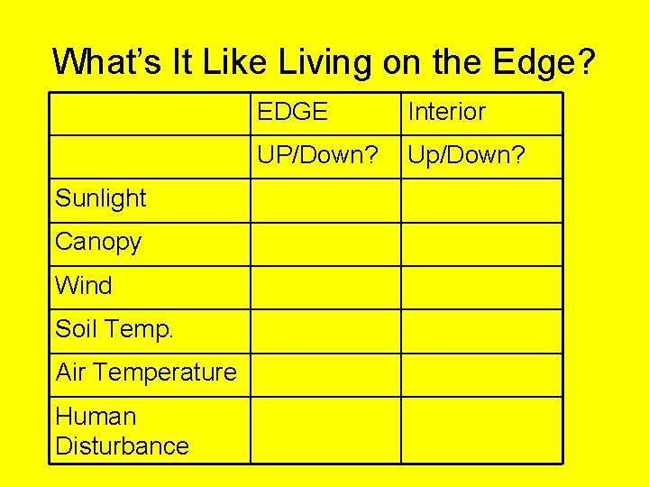 What’s It Like Living on the Edge? Sunlight Canopy Wind Soil Temp. Air Temperature