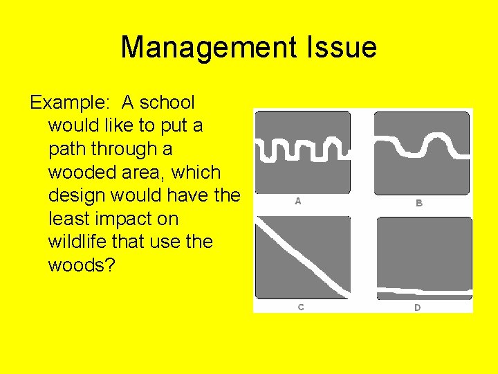 Management Issue Example: A school would like to put a path through a wooded