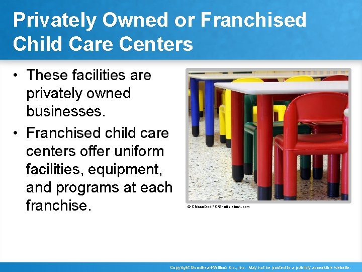 Privately Owned or Franchised Child Care Centers • These facilities are privately owned businesses.