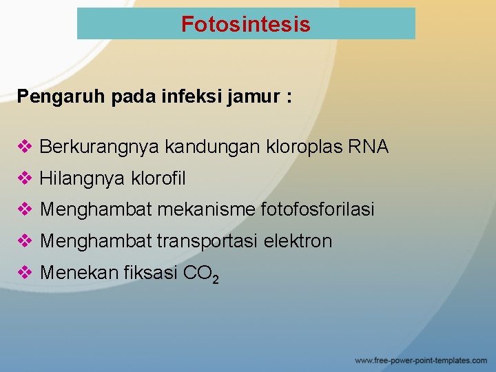 Fotosintesis Pengaruh pada infeksi jamur : v Berkurangnya kandungan kloroplas RNA v Hilangnya klorofil