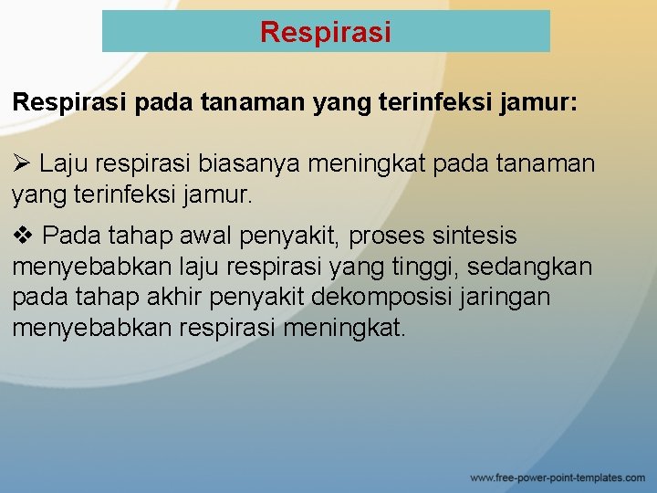 Respirasi pada tanaman yang terinfeksi jamur: Ø Laju respirasi biasanya meningkat pada tanaman yang