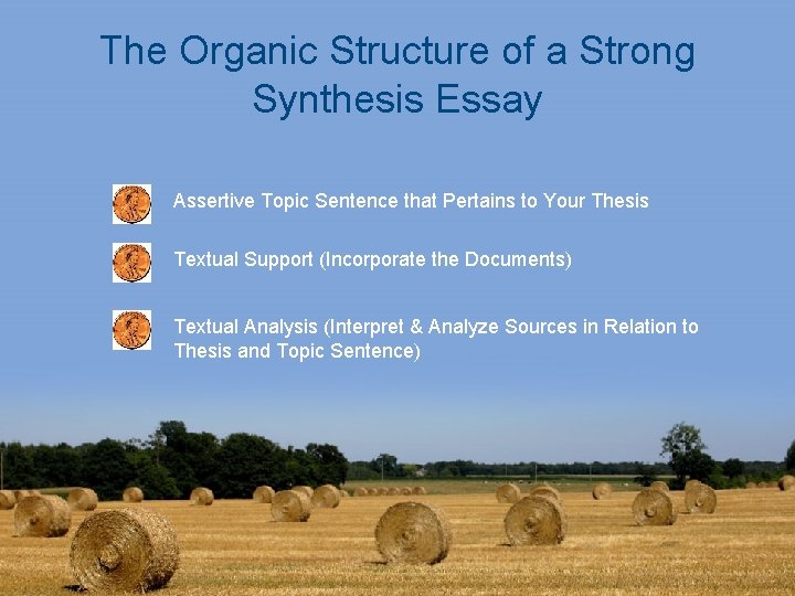 The Organic Structure of a Strong Synthesis Essay Assertive Topic Sentence that Pertains to