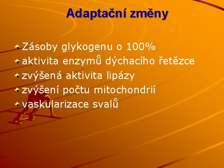 Adaptační změny Zásoby glykogenu o 100% aktivita enzymů dýchacího řetězce zvýšená aktivita lipázy zvýšení