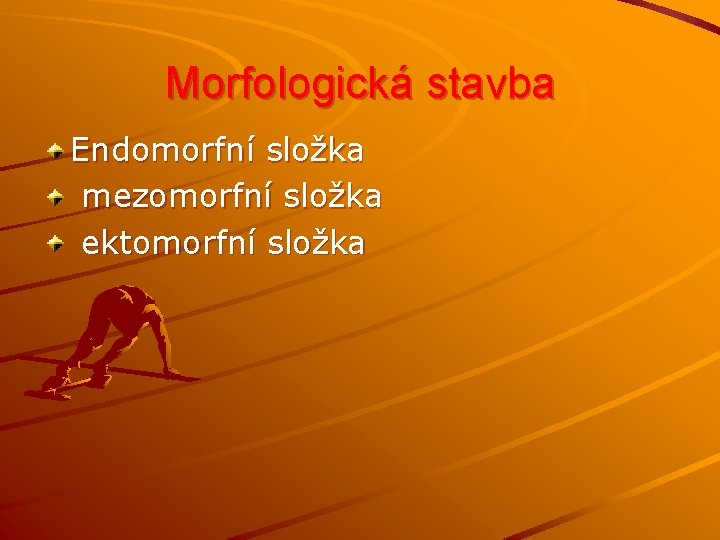 Morfologická stavba Endomorfní složka mezomorfní složka ektomorfní složka 