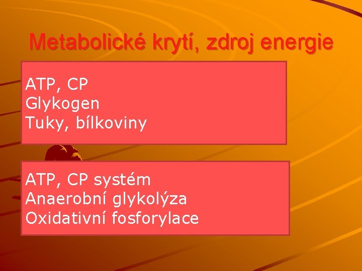 Metabolické krytí, zdroj energie ATP, CP Glykogen Tuky, bílkoviny ATP, CP systém Anaerobní glykolýza