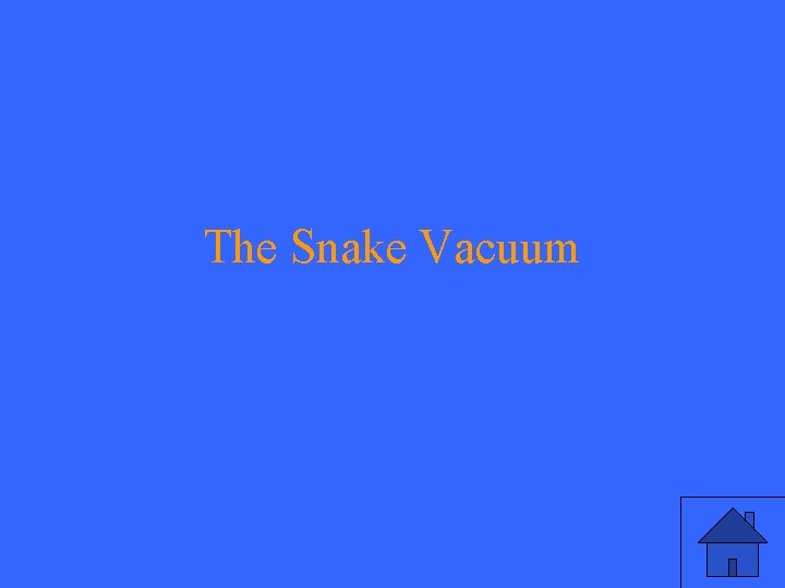 The Snake Vacuum 