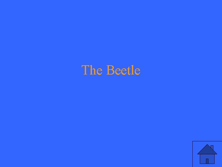 The Beetle 