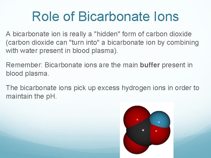 Role of Bicarbonate Ions A bicarbonate ion is really a "hidden" form of carbon