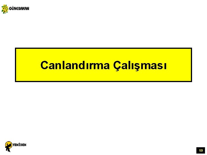 Canlandırma Çalışması 19 