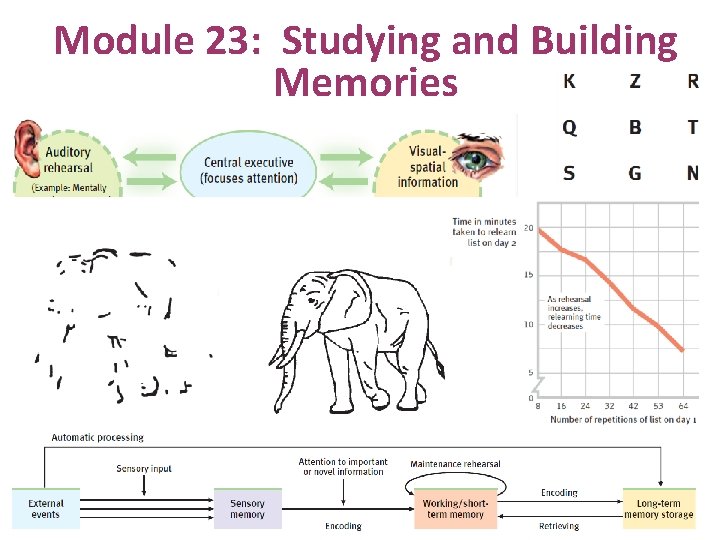 Module 23: Studying and Building Memories 