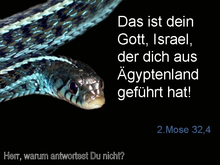 Das ist dein Gott, Israel, der dich aus Ägyptenland geführt hat! 2. Mose 32,