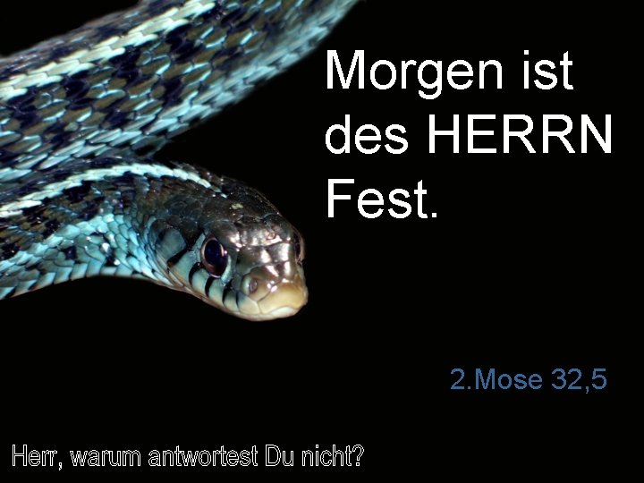 Morgen ist des HERRN Fest. 2. Mose 32, 5 