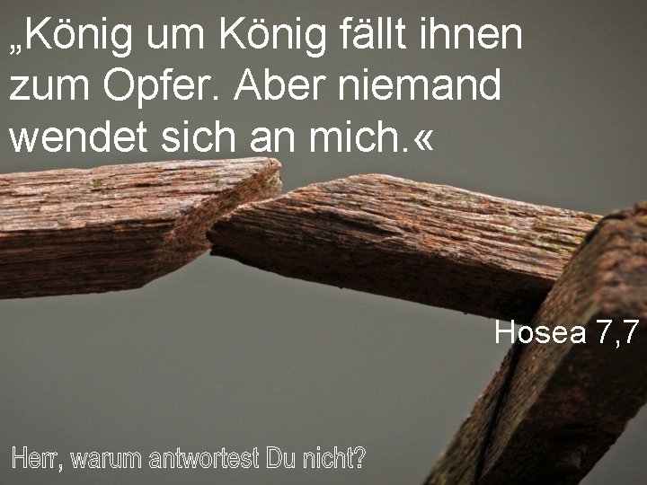 „König um König fällt ihnen zum Opfer. Aber niemand wendet sich an mich. «