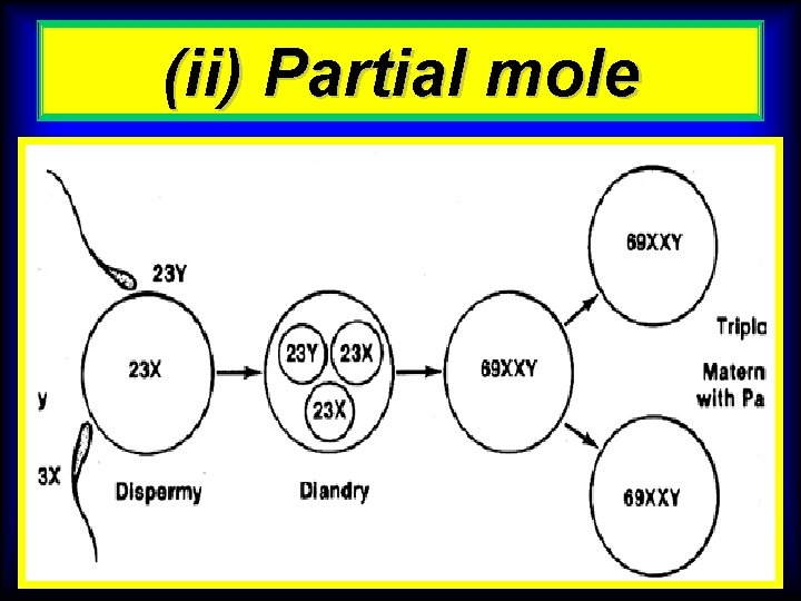 (ii) Partial mole 