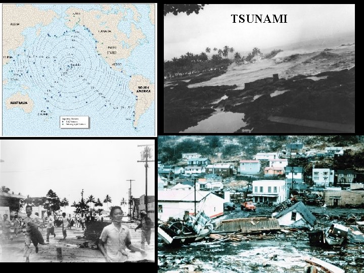 TSUNAMI 