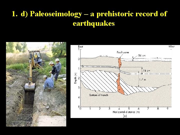 1. d) Paleoseimology – a prehistoric record of earthquakes 