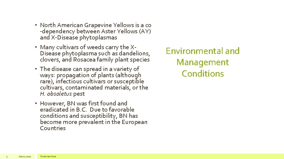  • North American Grapevine Yellows is a co -dependency between Aster Yellows (AY)