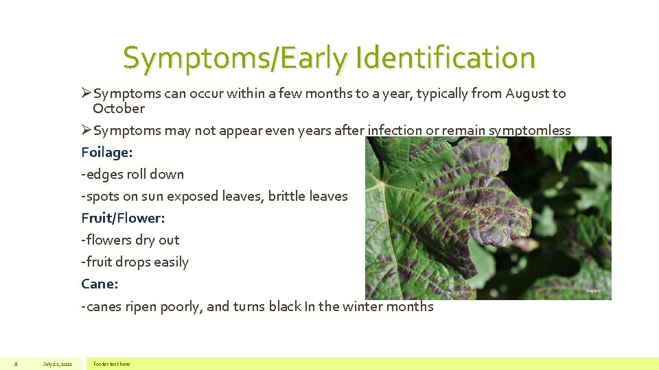 Symptoms/Early Identification ØSymptoms can occur within a few months to a year, typically from