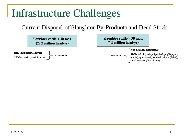 Infrastructure Challenges Current Disposal of Slaughter By-Products and Dead Stock Slaughter cattle < 30