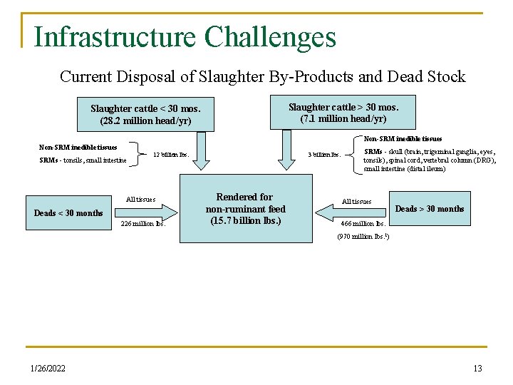 Infrastructure Challenges Current Disposal of Slaughter By-Products and Dead Stock Slaughter cattle > 30