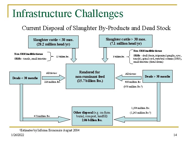 Infrastructure Challenges Current Disposal of Slaughter By-Products and Dead Stock Slaughter cattle > 30
