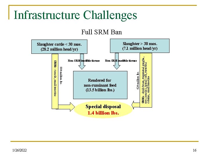 Infrastructure Challenges Full SRM Ban Non-SRM inedible tissues Rendered for non-ruminant feed (13. 5