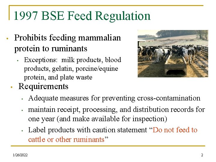 1997 BSE Feed Regulation Prohibits feeding mammalian protein to ruminants • Exceptions: milk products,