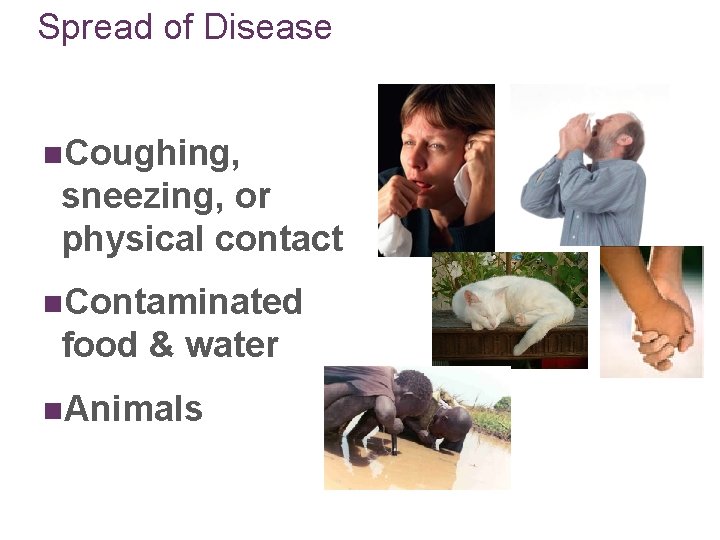 Spread of Disease n. Coughing, sneezing, or physical contact n. Contaminated food & water