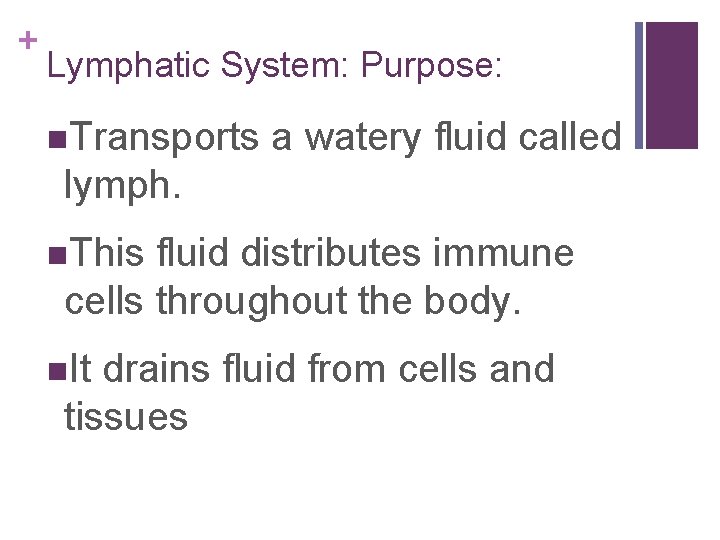 + Lymphatic System: Purpose: n. Transports a watery fluid called lymph. n. This fluid