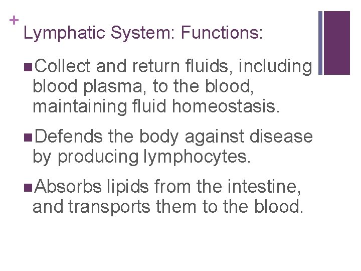 + Lymphatic System: Functions: n. Collect and return fluids, including blood plasma, to the