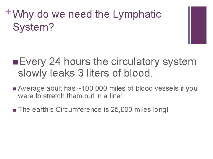 + Why do we need the Lymphatic System? n. Every 24 hours the circulatory
