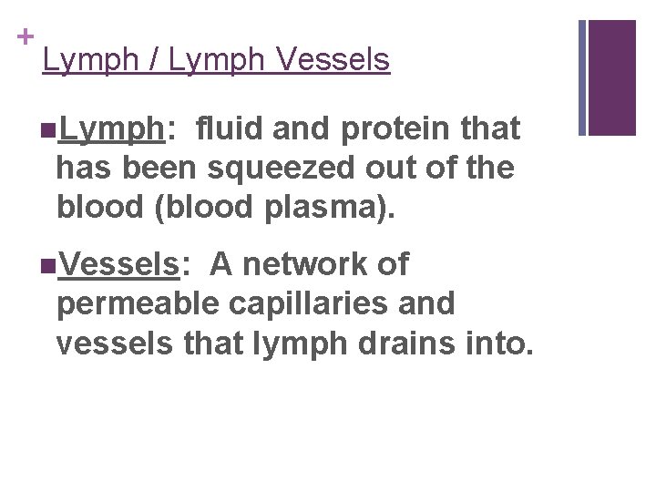 + Lymph / Lymph Vessels n. Lymph: fluid and protein that has been squeezed